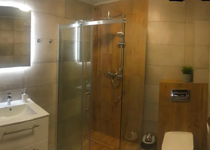 Antonio 2 * 库多瓦-兹德鲁伊