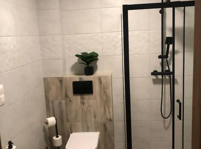 Antonio 2 库多瓦-兹德鲁伊