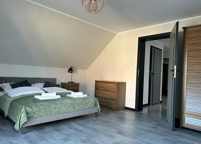 Antonio 2 * 库多瓦-兹德鲁伊