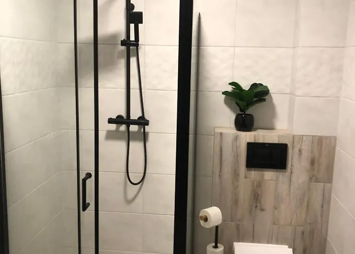 Antonio 2 * 库多瓦-兹德鲁伊